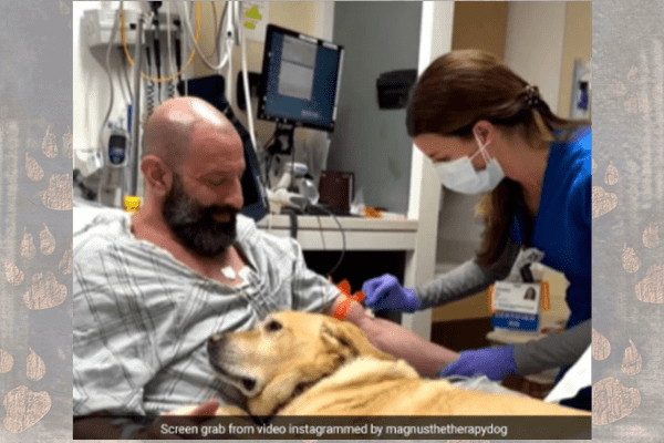  Watch: Dog Does Not Leave Man’s Side After Heart Ailment in A Heart-Warming Video